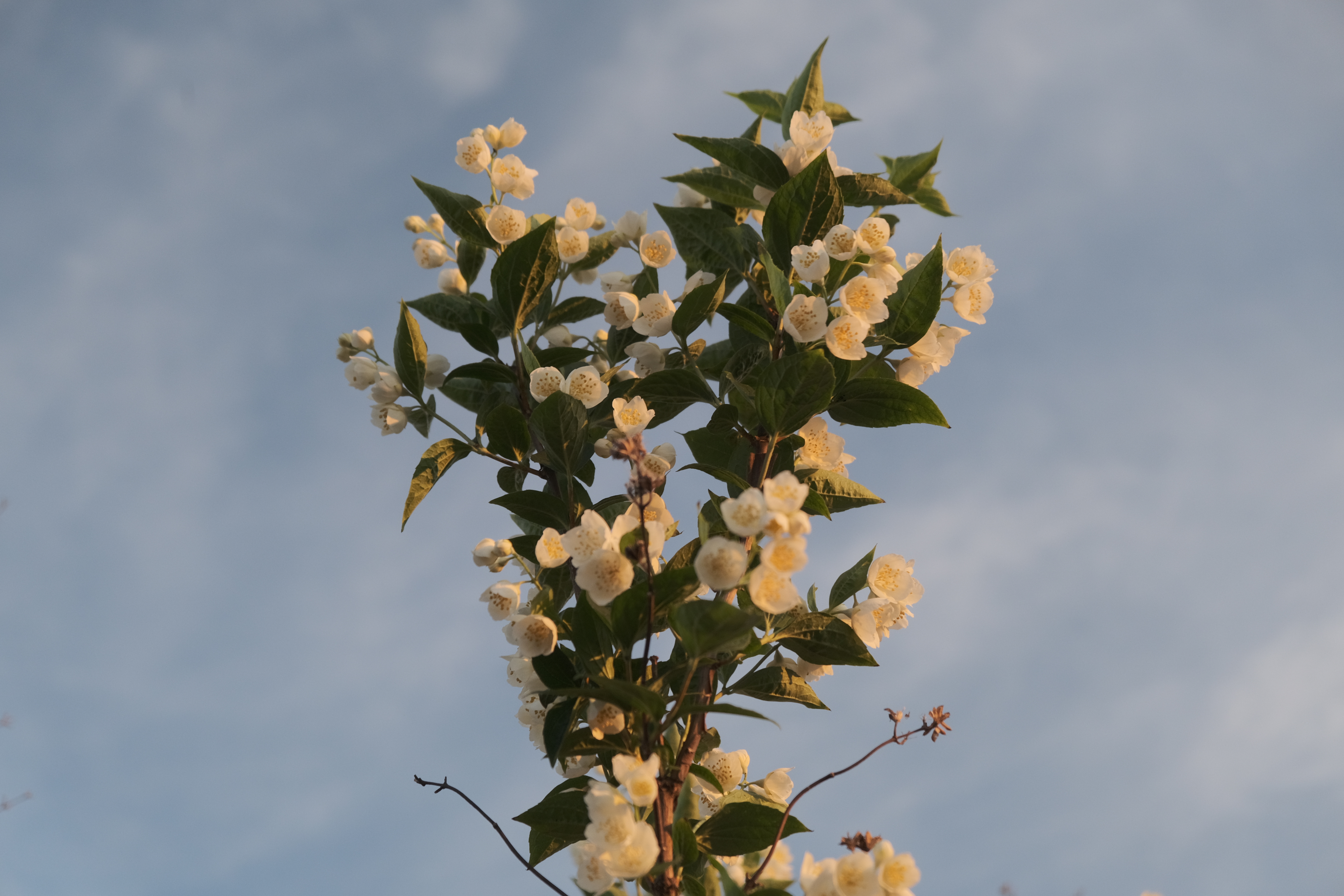 Жизнь и судьба это Создатель