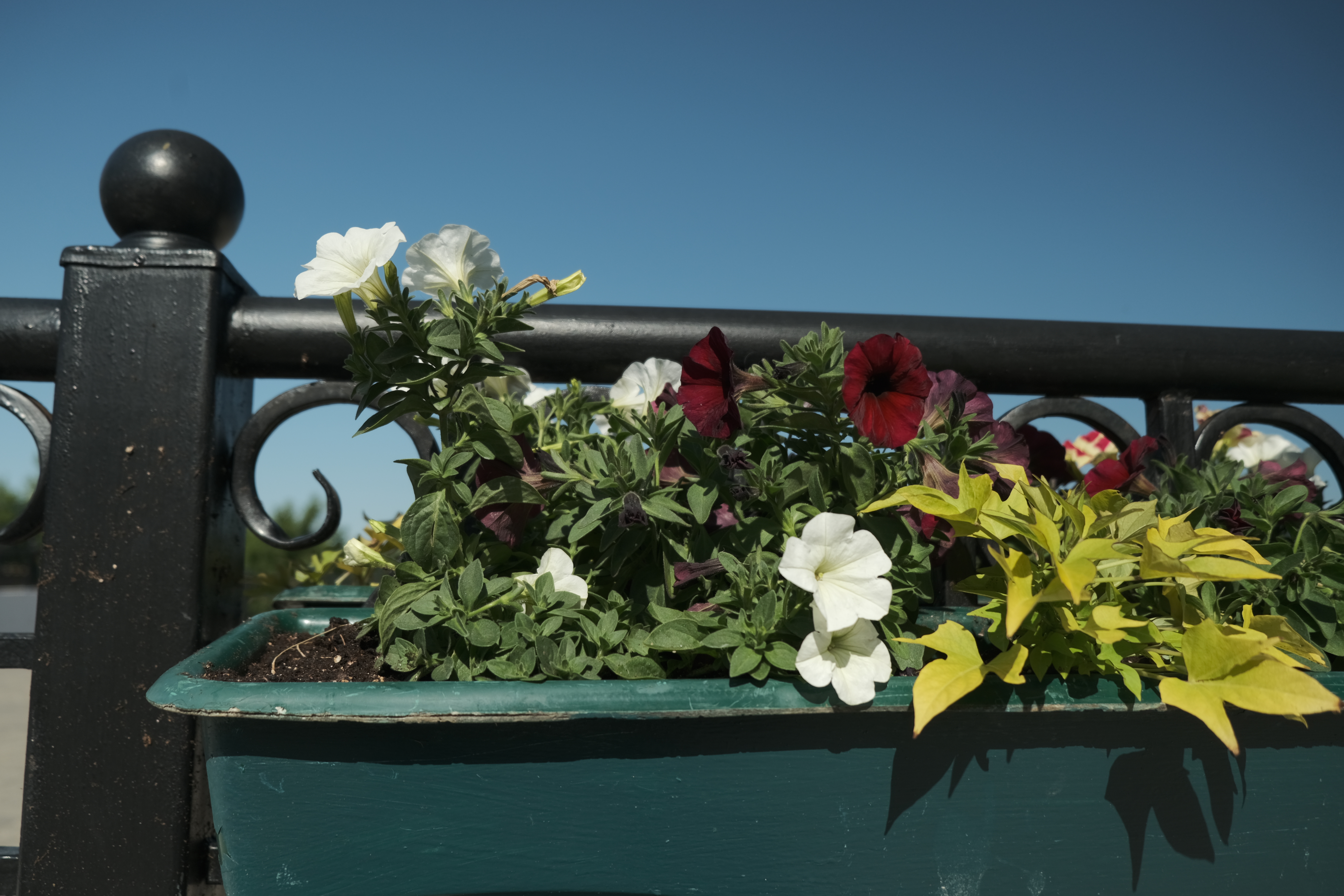 Смысл жизни семья